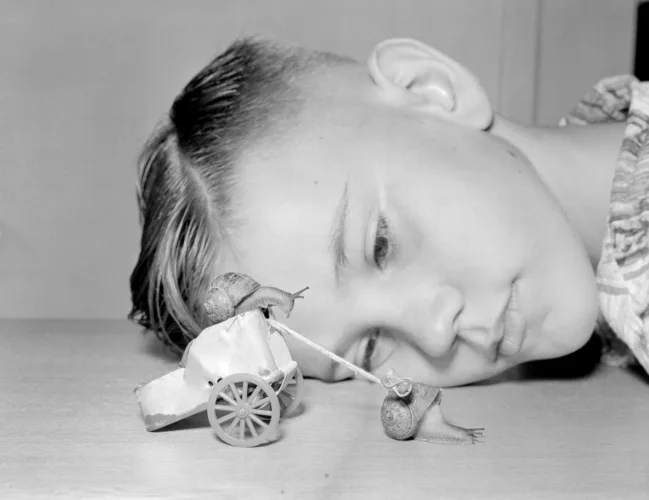 Photo of the Day: Snail Races